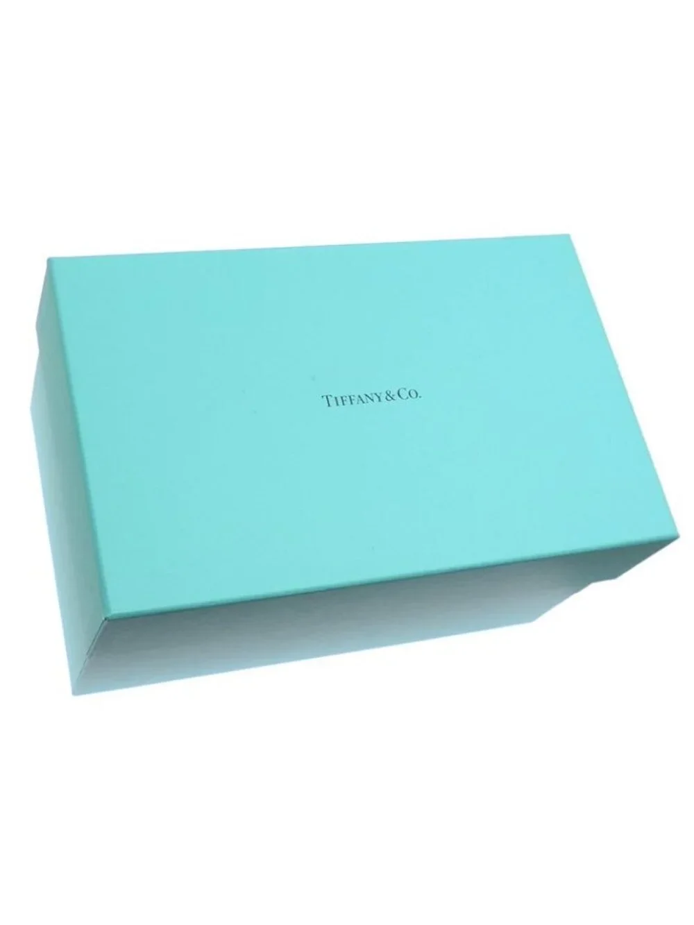 Tiffany & Co Piggy Bank